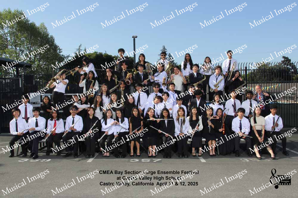 Musical Images